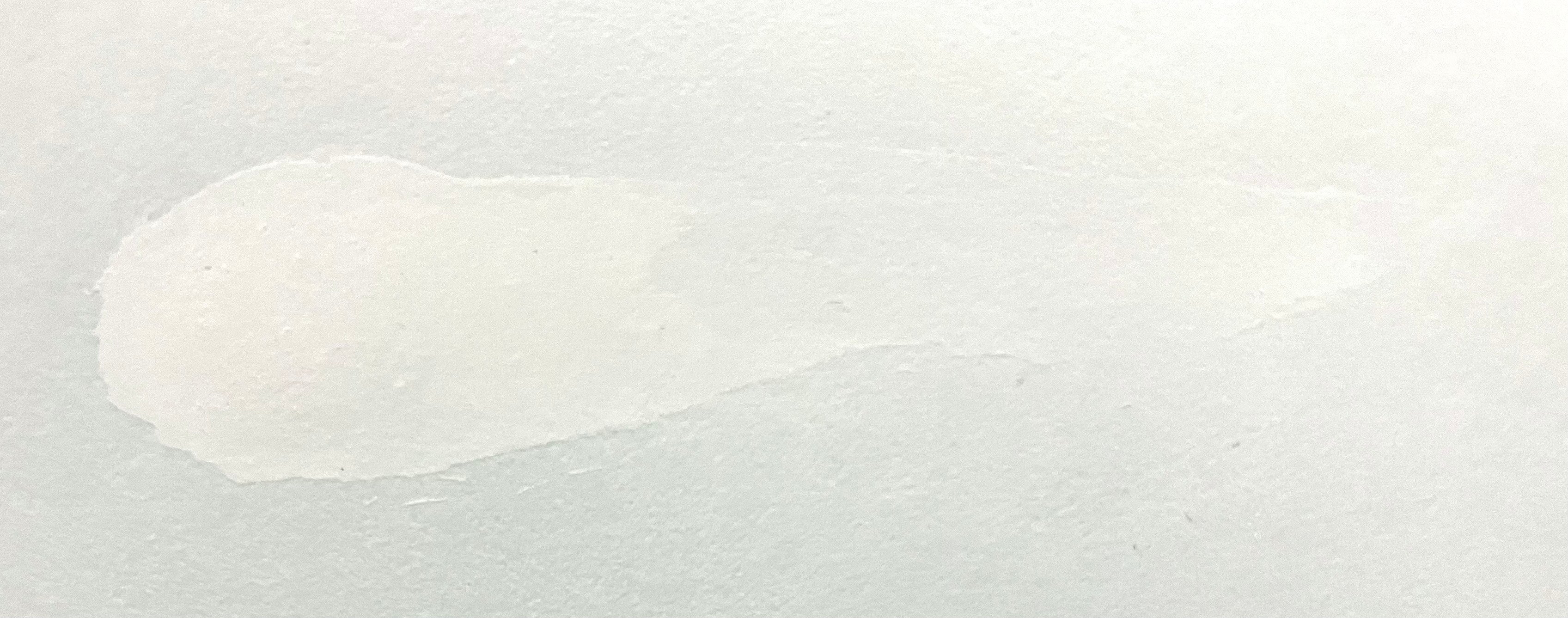 蛯田均 水彩画 「シトロンⅢ」 三越取扱 額装 静物画 アート インテリア 蛯田均 水彩画 「シトロンⅢ」 三越取扱 額装 静物画 アート