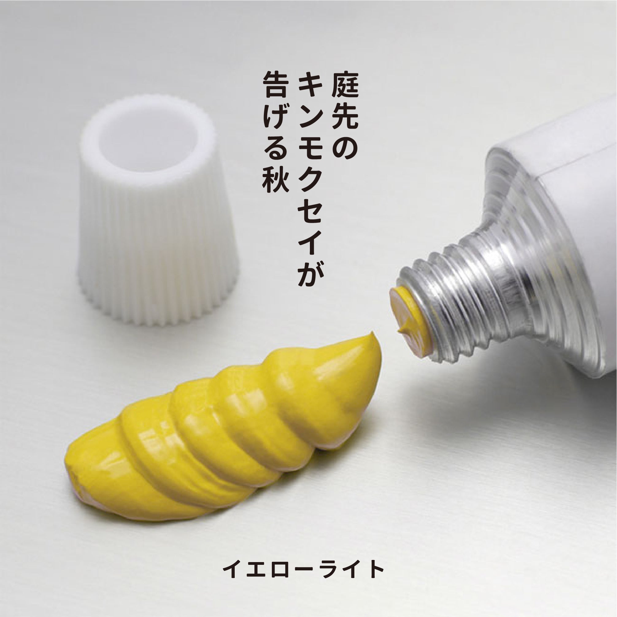 Gekkoso_OnlinePhoto_OL_CHR_YEL